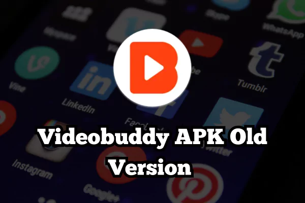 Videobuddy APK image